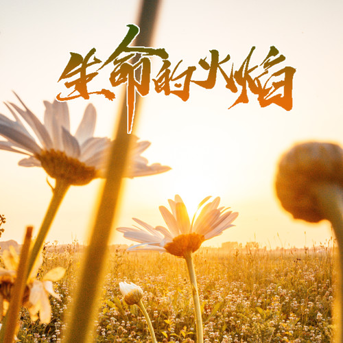 生命的火焰(伴奏)
