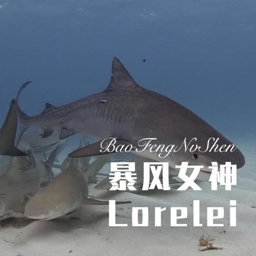 新专辑《暴风女神lorelei》发行