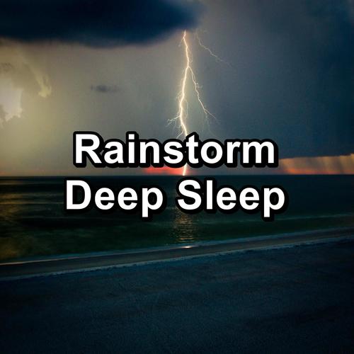 forest rain and nature sounds in the evening