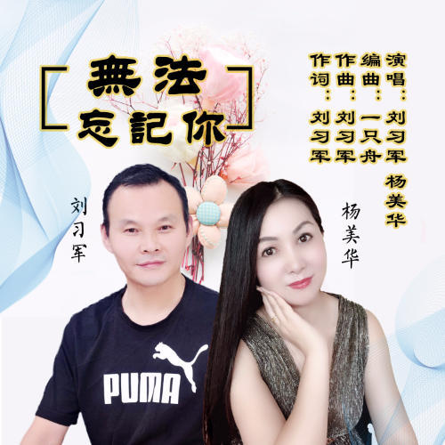 无法忘记你(伴奏)