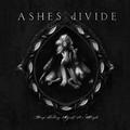 defamed_ashes divide_单曲在线试听_酷我音乐