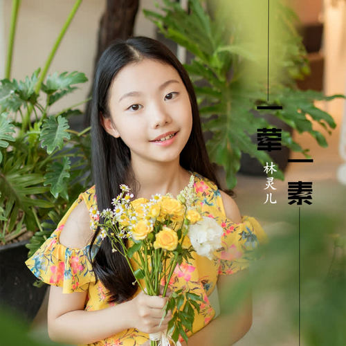一荤一素_林灵儿_单曲在线试听_酷我音乐
