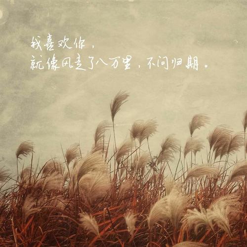 风吹过八千里 (cover: 苏星婕)