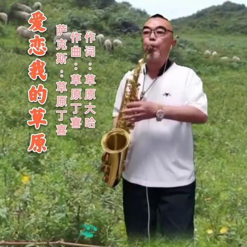 爱恋我的草原(萨克斯版)(其他)