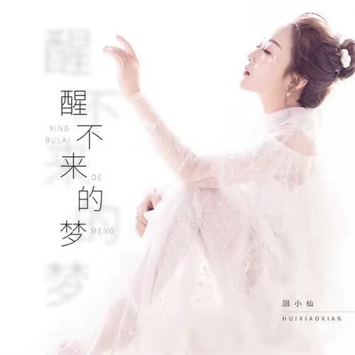 醒不来的梦(dj沈念版伴奏)_回小仙_单曲在线试听_酷我