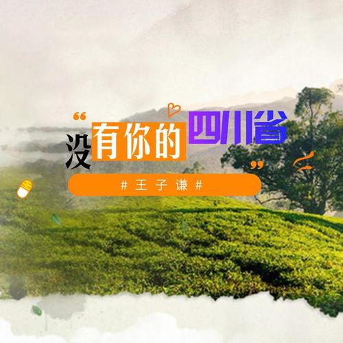 没有你的四川省(伴奏)