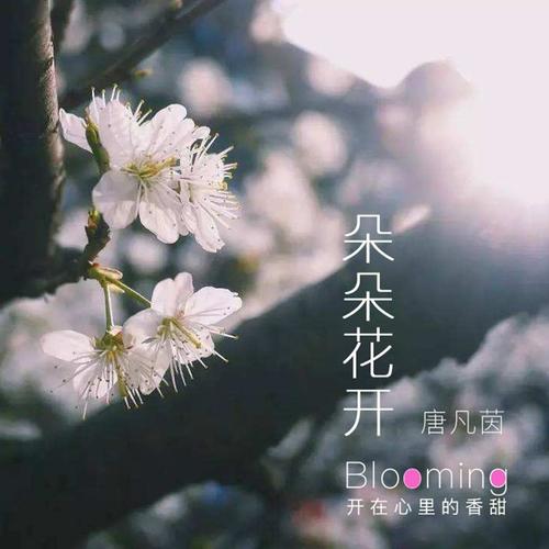 朵朵花开_唐凡茵_单曲在线试听_酷我音乐