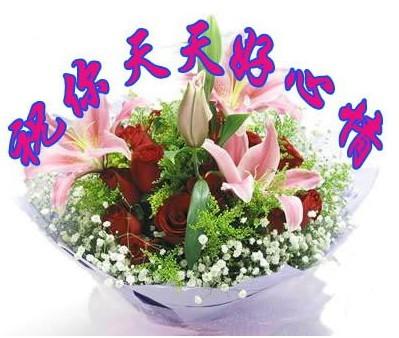 酷我_音乐人吧_【视频欣赏】乌兰托娅---高原