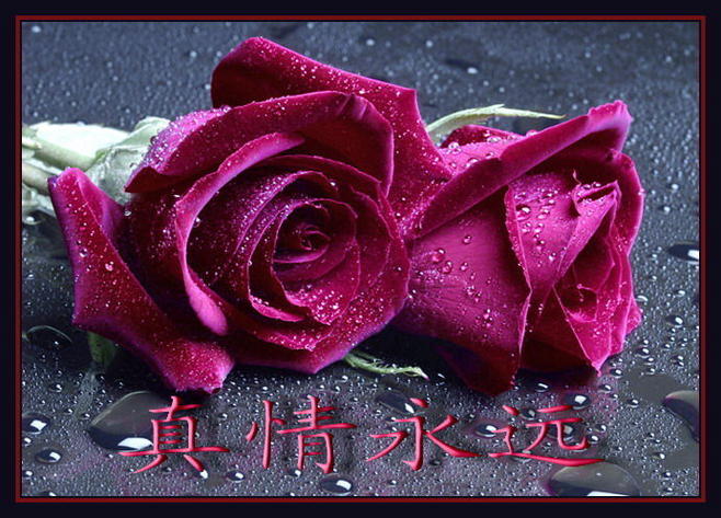 酷我_酷音天下吧_天使消逝的地方