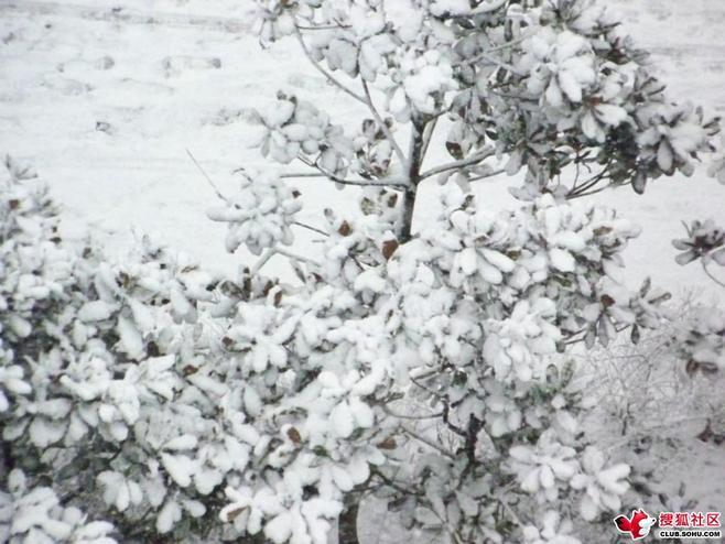 济南的冬天原文赏析_济南的冬天原文_济南的