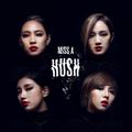 Hush(Party Ver.)miss A