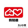 包容(抖音版)DJ小可