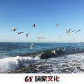 我无法挽留无法回头(DJ)明洋
