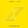 A Different Way(Bro Safari & ETC!ETC! Remix)DJ Snake&Lauv