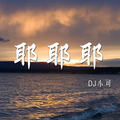 耶耶耶DJ小可