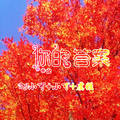 无翼而飞(原版)DJ小可&小可&虞姬