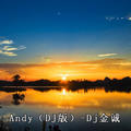 Andy(DJ版)Dj金诚