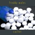 歌手Freddy Wales的头像