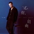 还你自由(完整版)零一九零贰