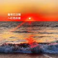红色妖姬 (Bgm) - 账号已注销