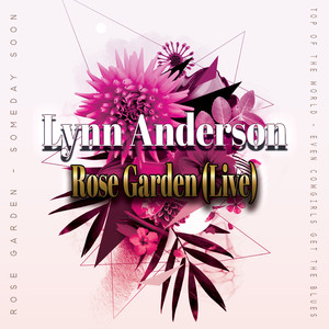 LYNN ANDERSON《Even Cowgirls Get the Blues(Live)》[MP3_LRC]