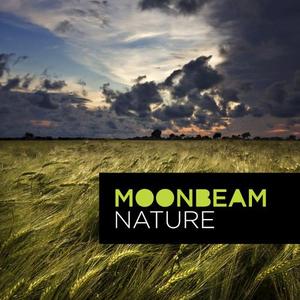 Moonbeam《Nature(Kosmas Epsilon Remix)》[MP3_LRC]