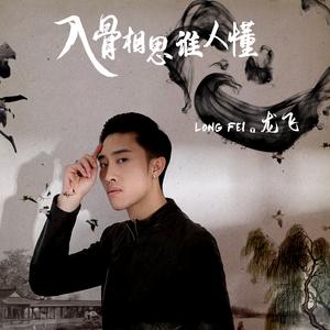 龙飞《入骨相思谁人懂(DJ何鹏版)》[MP3_LRC]