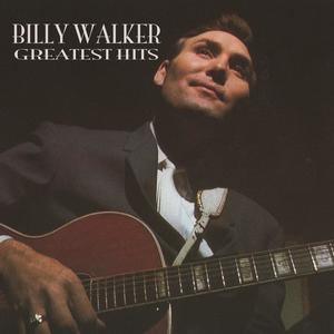 Billy Walker《Anything Your Heart Desires》[MP3_LRC]