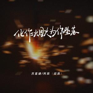 苏星婕&阿辰（阎辰）《化作烟火为你坠落（0.85x）》[MP3_LRC]