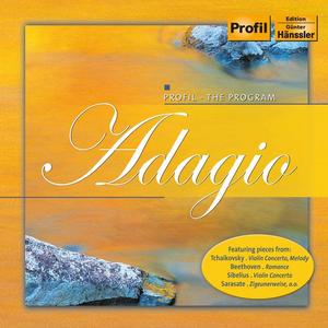 Ruggiero Ricci&WDR Sinfonieorchester Köln&Gunter Wand《II. Andantino quasi allegretto》[MP3_LRC]