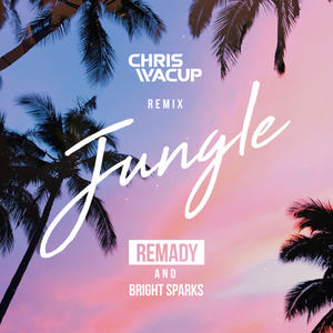 Remady&Bright Sparks《Jungle(CHRIS WACUP Remix)》[MP3_LRC]