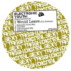 Electronic Youth&Shanaz《I Would Leave(Album Edit)》[MP3_LRC]