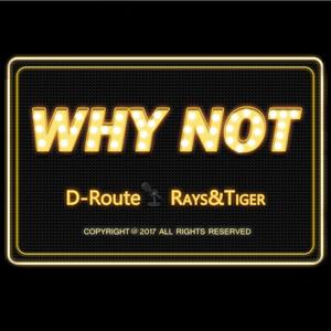 Rays陈袁《Why not》[MP3_LRC]