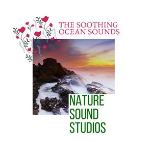 Diversified Nature Sounds - Graceful Bubbly Waves