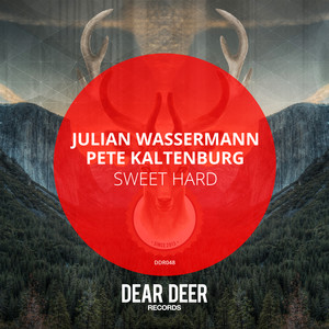 Julian Wassermann&Pete Kaltenburg《Just A Dream(Original Mix)》[MP3_LRC]