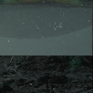 赵二 - 孤岛