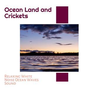 Sultry Waves Sound Project - Peaceful Night Bugs Noise