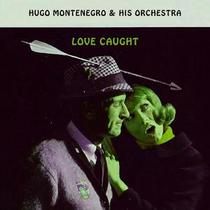 Hugo Montenegro & His Orchestra《Theme From Picnic》[MP3_LRC]