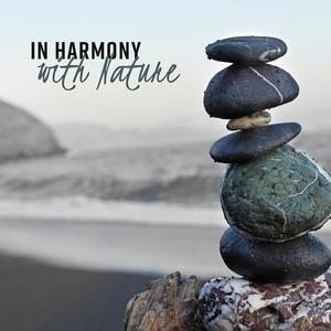Nature Sounds&Nature Meditation Academy&Deep Meditation Music Zone - Music for Infant Development Vol. 2