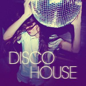 Various Artists《Continuous DJ Mix - Disco House》[MP3_LRC]