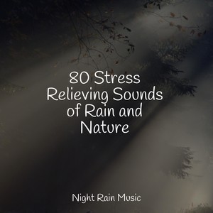 Rain&Massage&Sleep Recording Sounds - Rain, Thunder, Evening