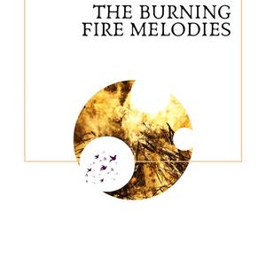 The Burning Beauty - Love For Color Birds