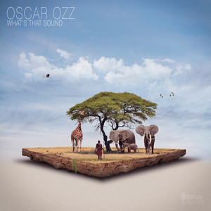 Oscar Ozz《Not What They Say》[MP3_LRC]