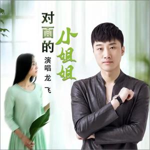 龙飞《对面的小姐姐(DJ何鹏版)》[MP3_LRC]