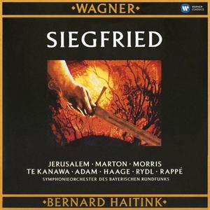 Bernard Haitink&Kiri Te Kanawa&Siegfried Jerusalem《Siegfried, Act II, Scene 3: "Hei! Siegfried erschlug nun den schlimmen Zwerg" (Woodbird, Siegfried)》[MP3_LRC]