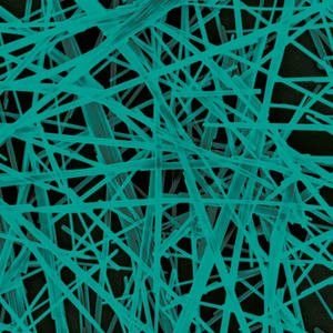 Data 3 - Molecular