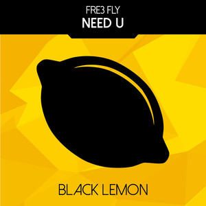 Fre3 Fly《Need U》[MP3_LRC]