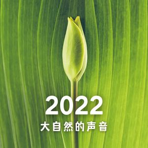 100% 大自然 - 疗愈的声音