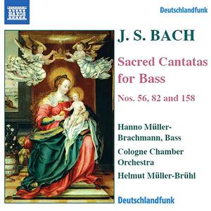 Hanno Müller-Brachmann&Helmut Müller-Brüh&Cologne Chamber Orchestra - Aria: Ich habe genug (Bass)