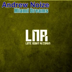 Andrew Noize《Miami Dreams(Original Mix)》[MP3_LRC]